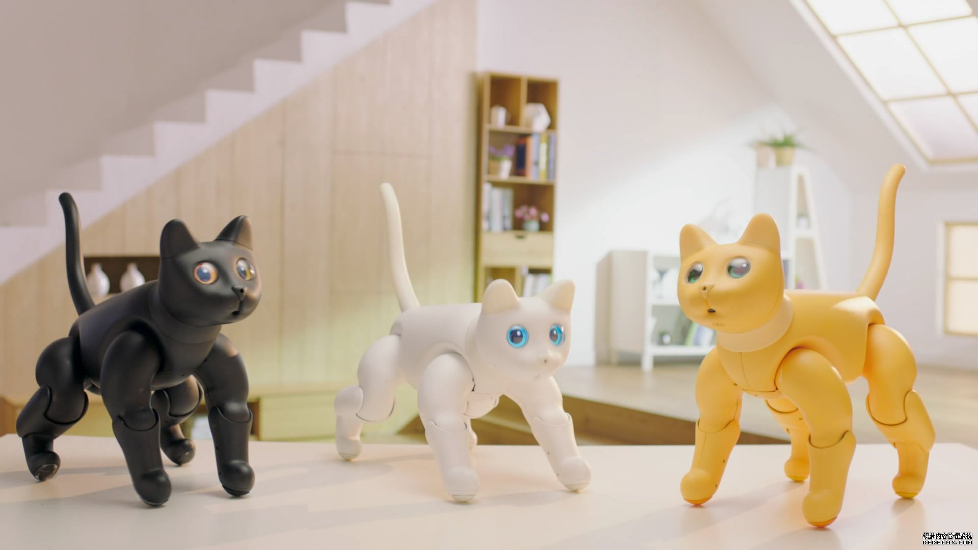 宠物机器猫Mars CAT--产品宣传片